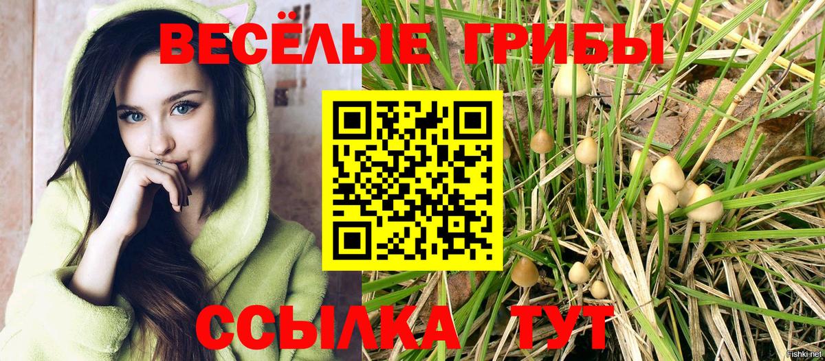 Псилоцибиновые грибы мицелий  цена наркотик  Анапа  Вход с VPN 